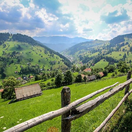 Pensiunea Samaha Moeciu De Sus Esterno foto