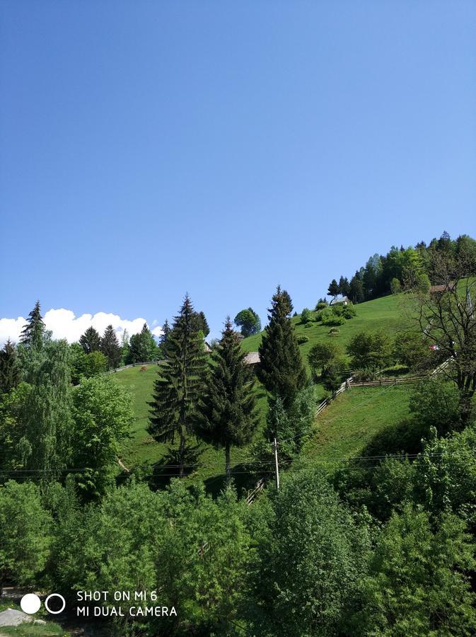 Pensiunea Samaha Moeciu De Sus Esterno foto
