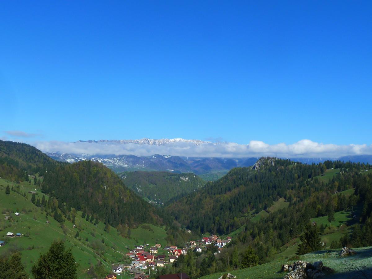 Pensiunea Samaha Moeciu De Sus Esterno foto