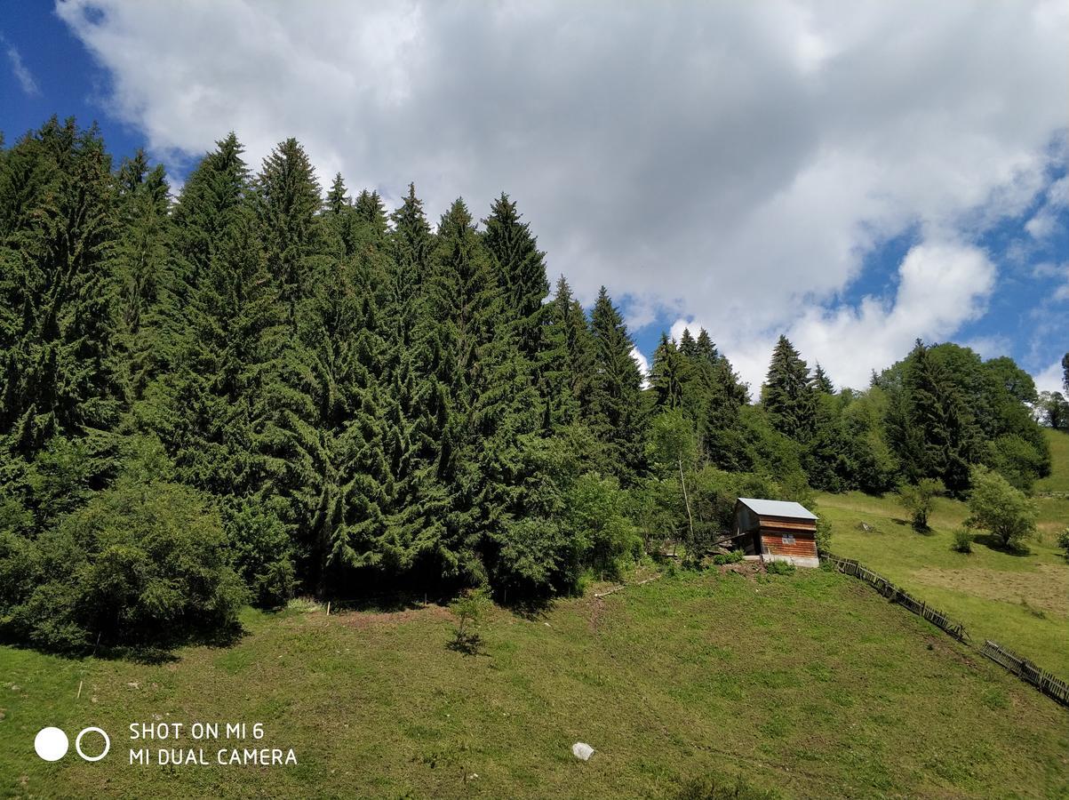 Pensiunea Samaha Moeciu De Sus Esterno foto