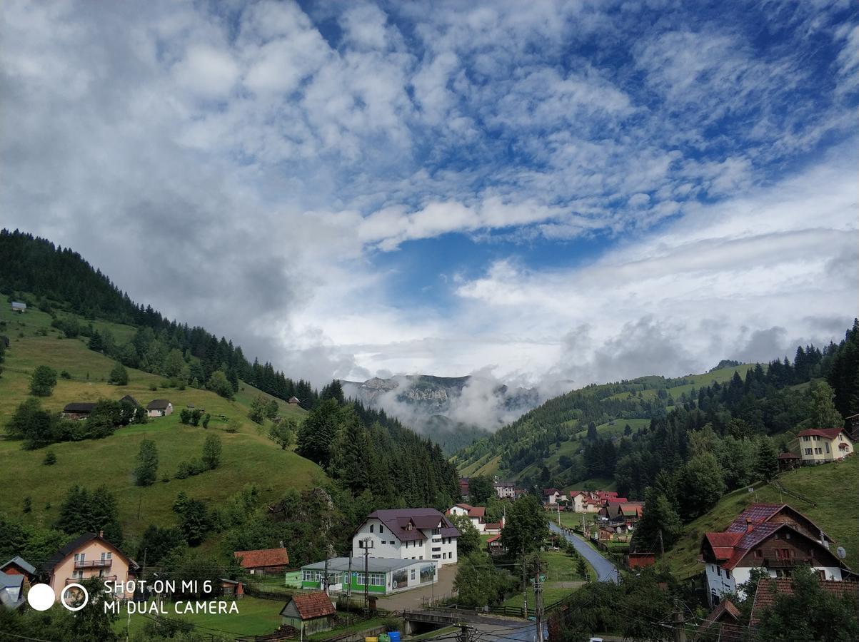 Pensiunea Samaha Moeciu De Sus Esterno foto